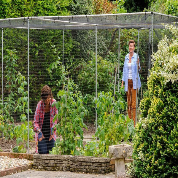 Buy Aluminium Fruit Cage With Butterfly Netting Online - Other Garden Equipment & Decoration