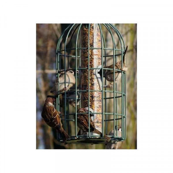 Buy Nuttery Original Seed Feeder Online - Bird Feeders