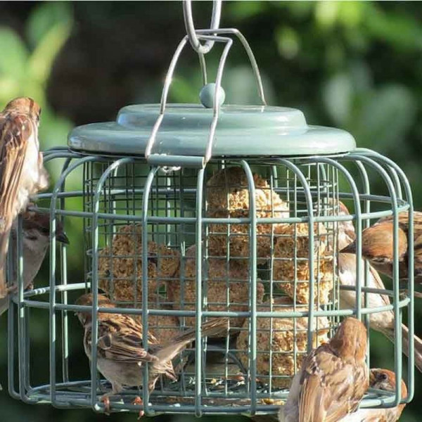 Buy Oval Fatball/suet Feeder Ocean Green Online - Bird Feeders
