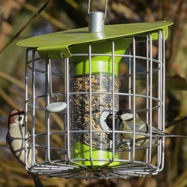 Buy Roundhaus Bird Seed Feeder Celadon Green Online - Bird Feeders