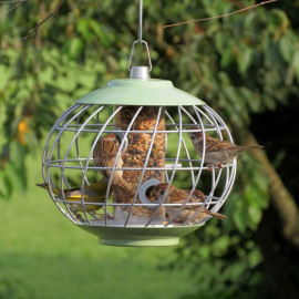 Helix Seed Bird Feeder Celadon Green