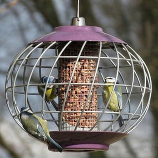 Buy Round Helix Nut Bird Feeder Aubergine Online - Bird Feeders