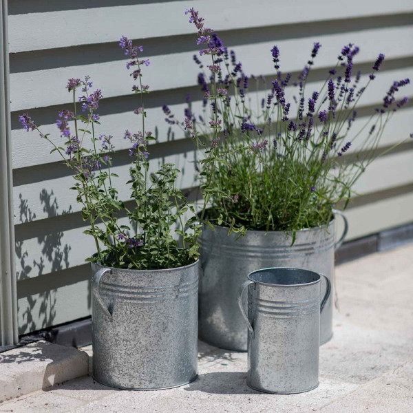 Buy Galvanised Planters Set Of 3 Online - Flower Pots & Stands