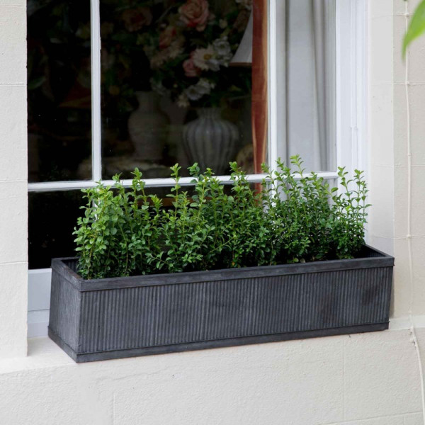 Buy Vence Window Box Planter Online - Flower Pots & Stands