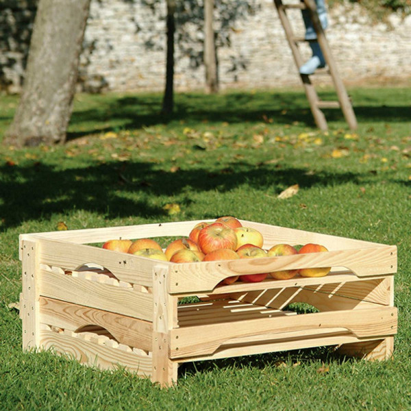 Buy Superior Alderwood Apple Rack Online - Garden Tools & Devices