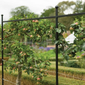 Fruit Growing Sundries