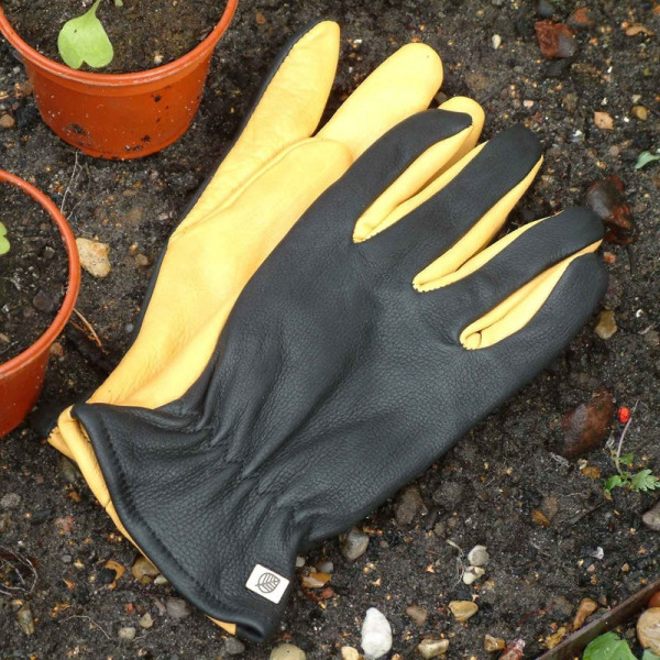 Buy Gold Leaf Dry Touch Gloves Online - Gloves