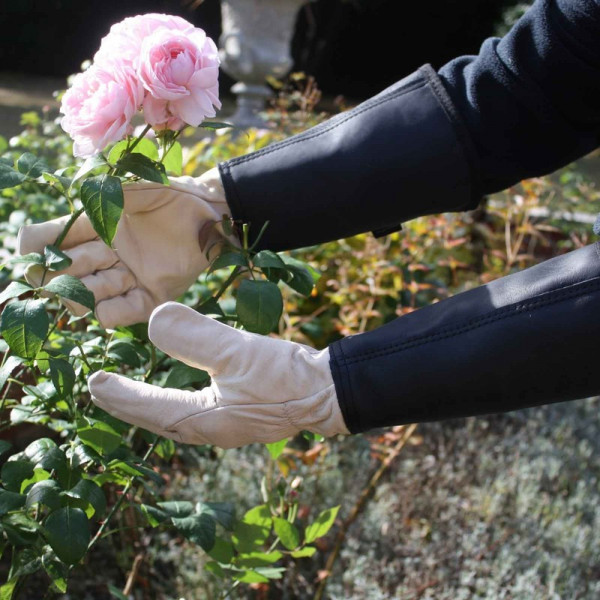 Buy Leather Gauntlets Online - Gloves