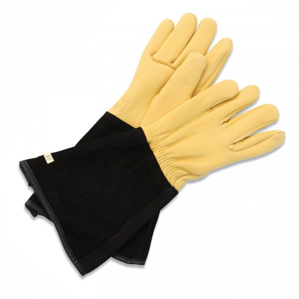 Buy Gold Leaf Tough Touch Gloves Online - Gloves