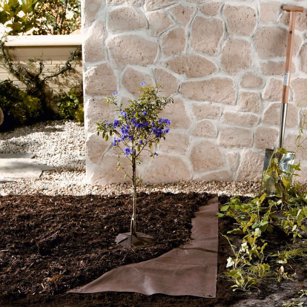 Buy Brown Ground Cover Fabric Online - Garden Tools & Devices Buy Brown Ground Cover Fabric Online - Garden Tools & Devices