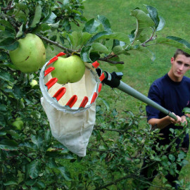 Fruit Picker Basket & Handle