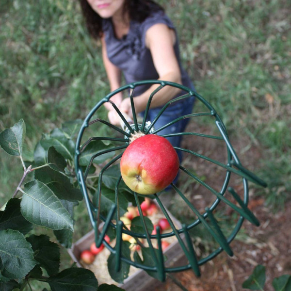Buy Apple Picker Online - Garden Tools & Devices