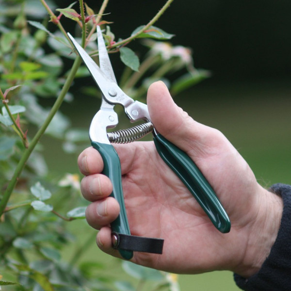Buy Burgon And Ball Flower And Fruit Snips Online - Garden Tools & Devices