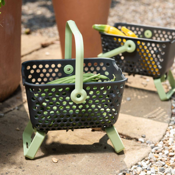 Buy Garden Harvest Basket Online - Garden Tools & Devices