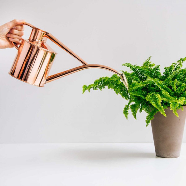Buy Haws Copper Indoor And Seedling Watering Can Online - Watering cans & water sprayers