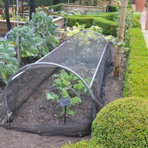 Buy Hoop Linking Rods Online - Plant Care & Earth Buy Hoop Linking Rods Online - Plant Care & Earth