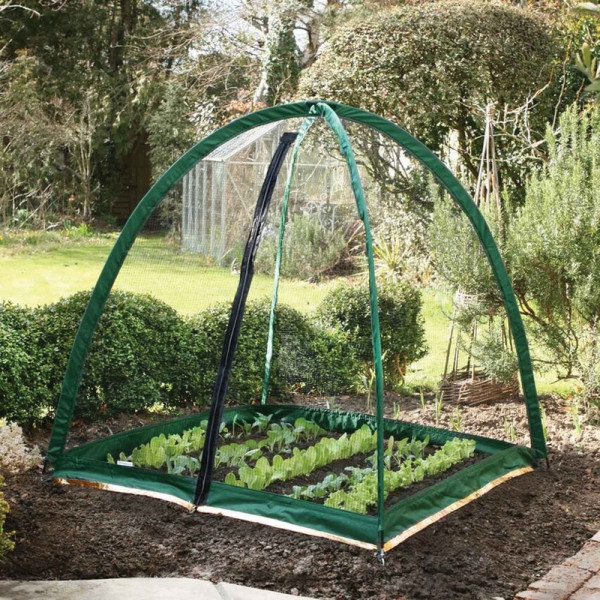 Buy Popadome Crop Protection System (1.2m X 1.2m) Online - Plant Care & Earth