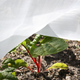 Insect Mesh Netting