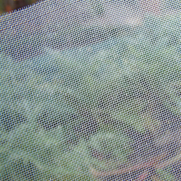 Buy Ultra Fine Insect Mesh Netting Online - Against insects