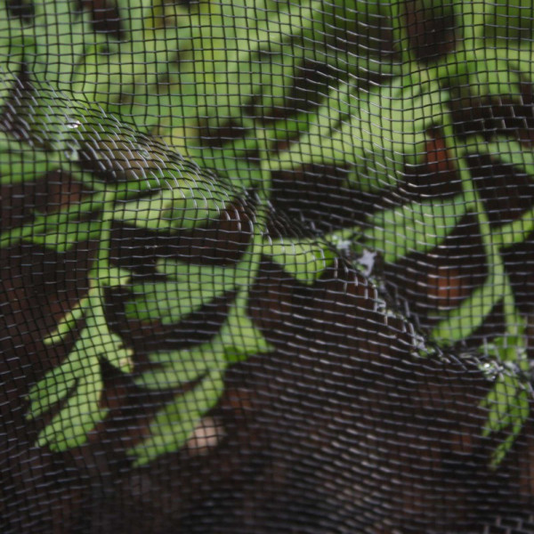 Buy Black Insect Mesh Netting Online - Against insects