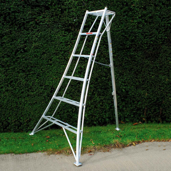 Buy Niwaki Tripod Ladder Online - Other Garden Equipment & Decoration