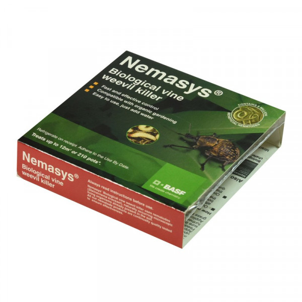 Buy Nemasys Vine Weevil Killer Online - Pest Control