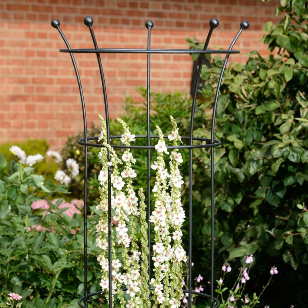 Buy Harrod Trumpet Wire Obelisks Ground Inserted Version Online - Other Garden Equipment & Decoration