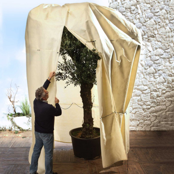 Buy Mammoth Plant Jacket Online - Plant Care & Earth Buy Mammoth Plant Jacket Online - Plant Care & Earth