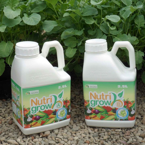Buy Nutrigrow Plant Feed Online - Plant Care & Earth