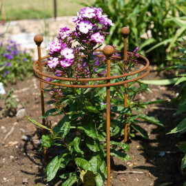 Harrod Short Circular Plant Support Rust