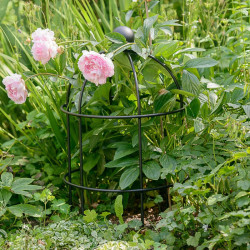 Lobster Pot Plant Support Matt Black