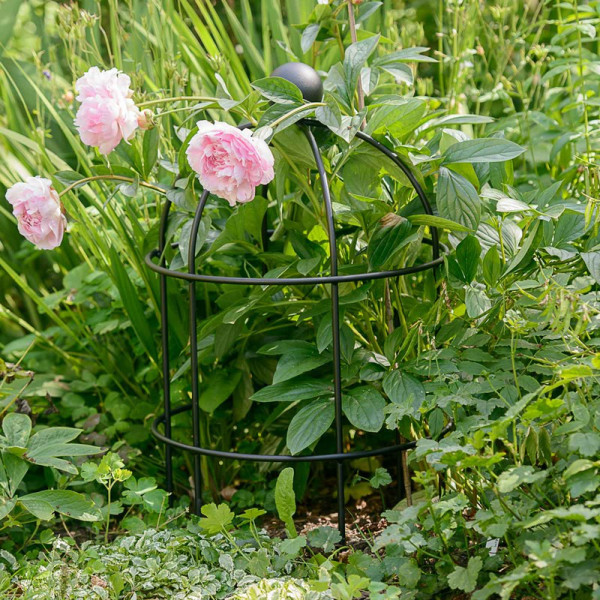 Buy Lobster Pot Plant Support Matt Black Online - Other Garden Equipment & Decoration