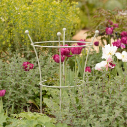 Harrod Trumpet Peony Plant Support Lichen Green