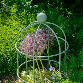 Lobster Pot Plant Supports Lichen Green