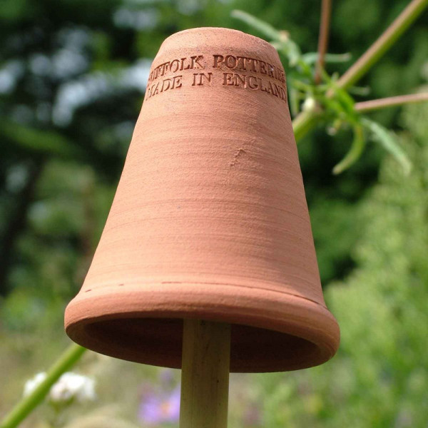 Buy Terracotta Flowerpot Cane Toppers (set Of 5) Online - Other Garden Equipment & Decoration