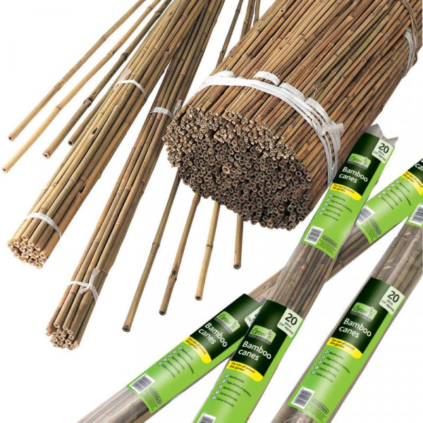 Buy Bamboo Canes Online - Other Garden Equipment & Decoration Buy Bamboo Canes Online - Other Garden Equipment & Decoration
