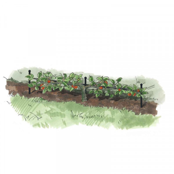 Buy Harrod Step Over Support Online - Other Garden Equipment & Decoration Buy Harrod Step Over Support Online - Other Garden Equipment & Decoration