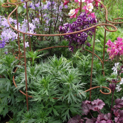 Plant Girdle Plant Supports (pack of 2)