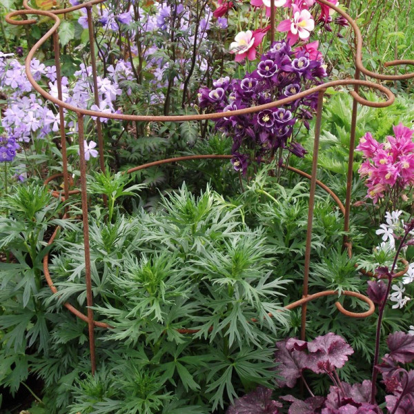 Buy Plant Girdle Plant Supports (pack Of 2) Online - Other Garden Equipment & Decoration