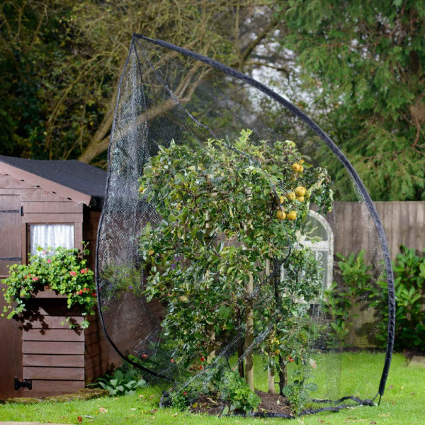 Buy Popadome Fruit Tree Cover (3.5m High) Online - Flower Pots & Stands