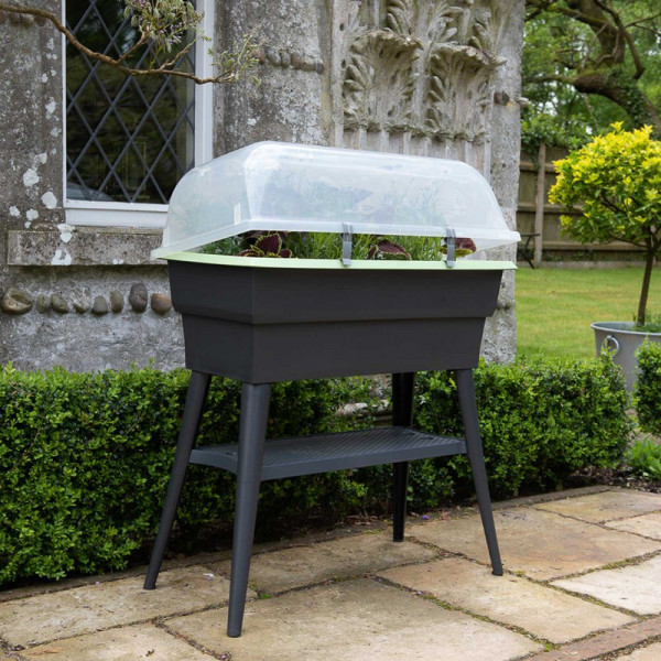 Buy Self Watering Grow Table Online - Plants & Plant Care Buy Self Watering Grow Table Online - Plants & Plant Care
