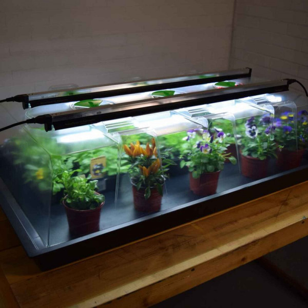 Buy Geopod Heated Propagator With Lights Online - Plants & Plant Care