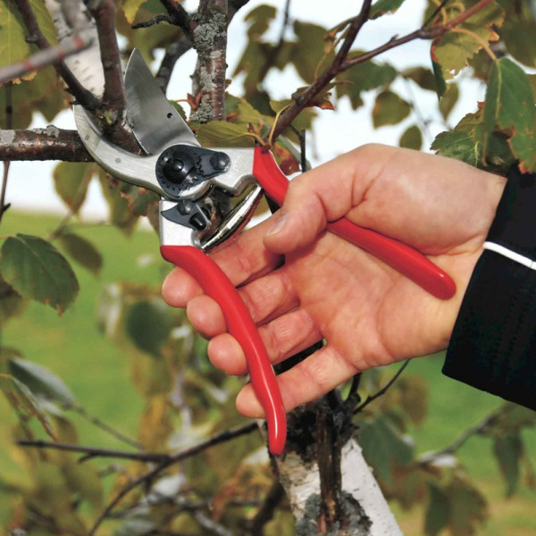 Buy Felco Professional Model 2 Secateur Online - Garden Equipment Buy Felco Professional Model 2 Secateur Online - Garden Equipment