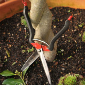 Secateurs, Loppers & Scissors