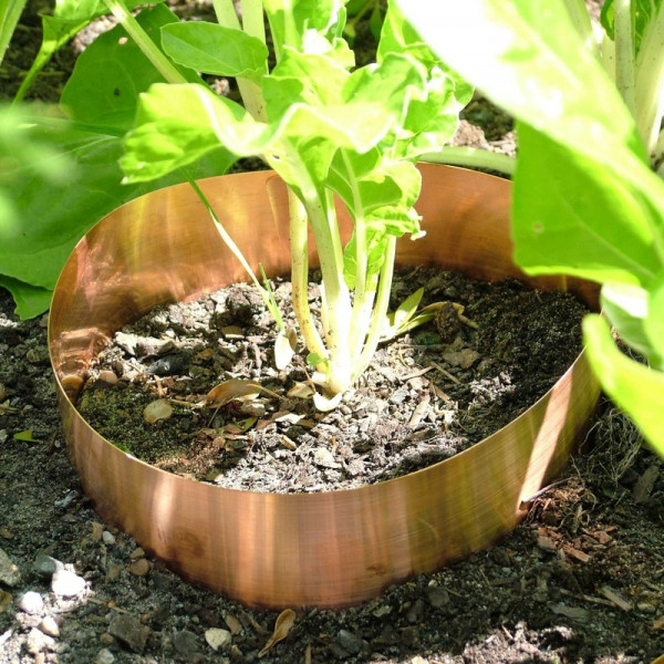 Buy Slug Copper Bands Online - Pest Control