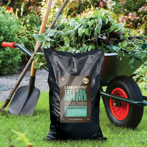 Buy Carbon Gold Biochar Tree Soil Improver 12kg Online - Flower Pots & Stands
