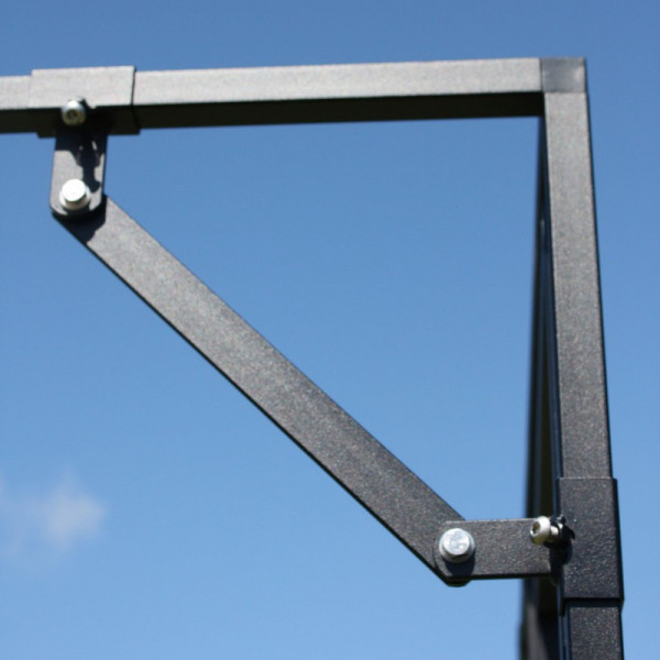 Buy Single Sided Steel Cage Brace Online - Plants & Plant Care