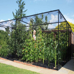 Steel Fruit Cage with Butterfly Net