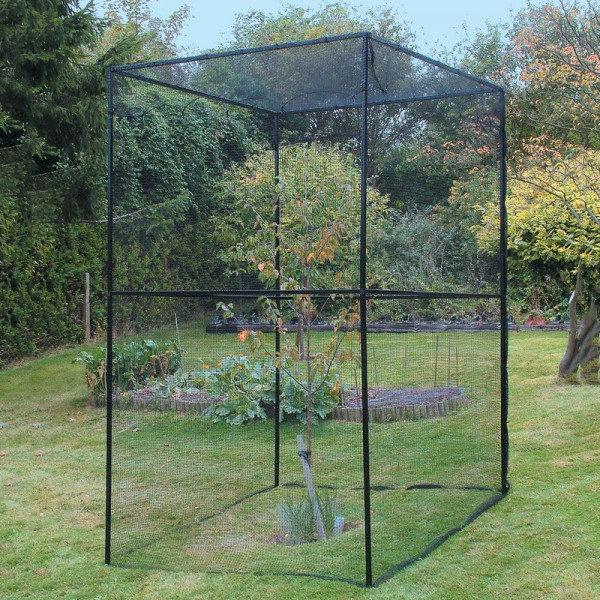Buy Heavy Duty Steel Cherry Tree Cage Online - Plants & Plant Care