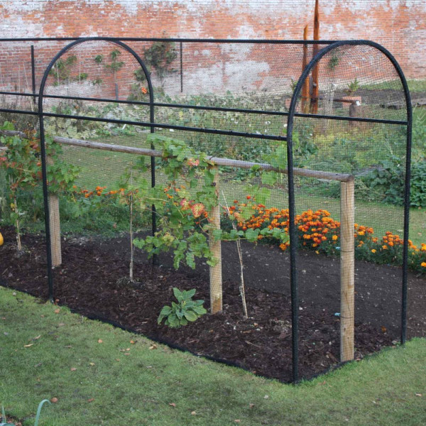 Buy Steel Corridor Cage Online - Plants & Plant Care Buy Steel Corridor Cage Online - Plants & Plant Care